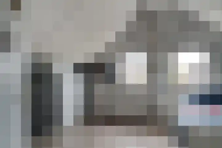 Buizerdstraat 73 Brummen thumbnail 40