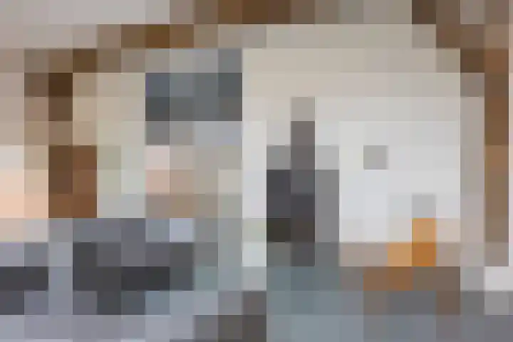 Buizerdstraat 73 Brummen thumbnail 47