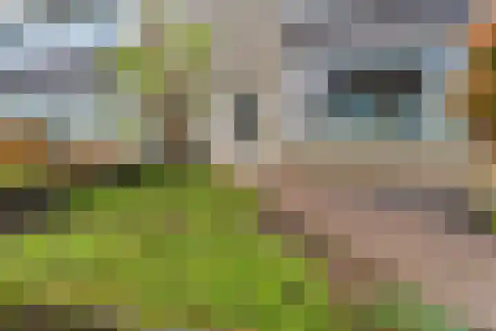 Buizerdstraat 73 Brummen thumbnail 8