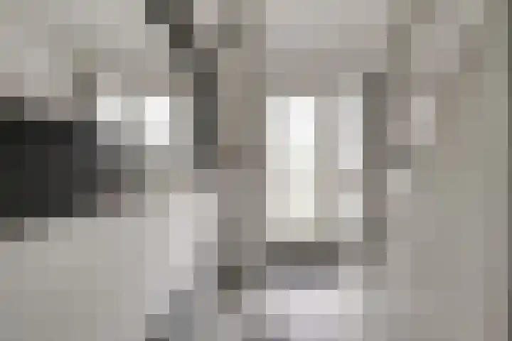 Buizerdstraat 73 Brummen thumbnail 9