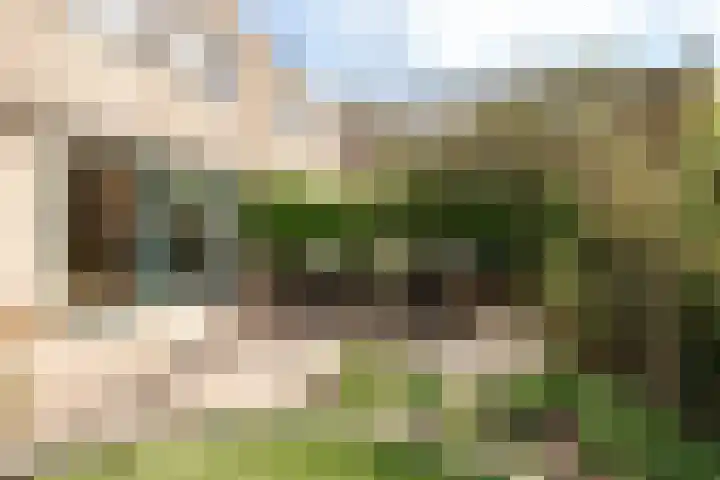 Buizerdstraat 8 Culemborg thumbnail 18