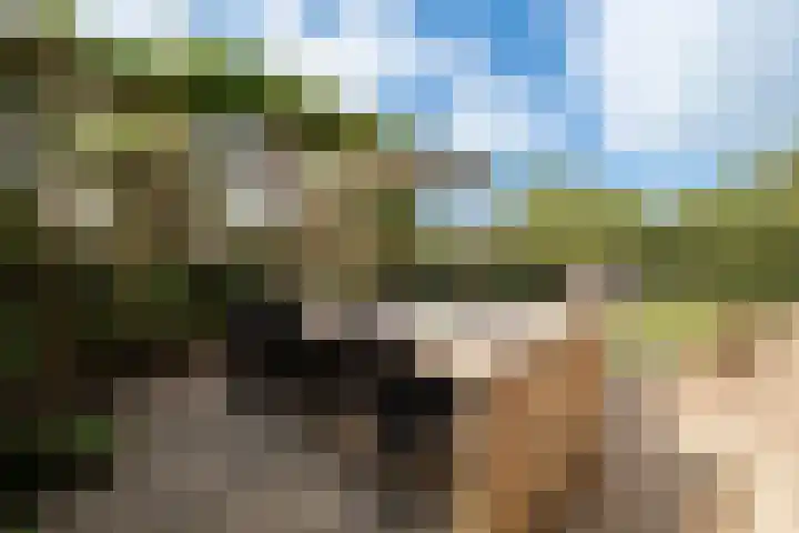 Buizerdstraat 8 Culemborg thumbnail 19