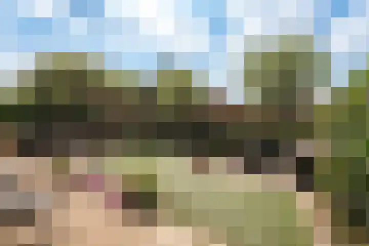 Buizerdstraat 8 Culemborg thumbnail 22
