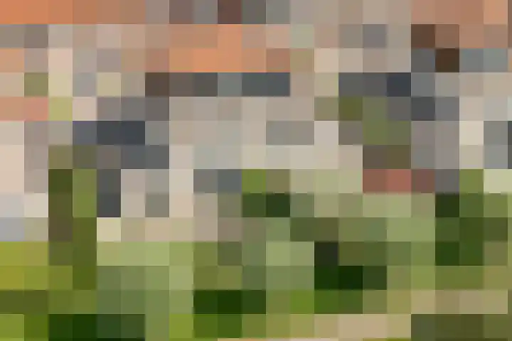 Buizerdstraat 8 Culemborg thumbnail 40