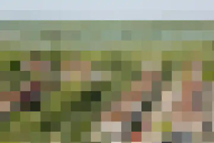 Buizerdstraat 8 Culemborg thumbnail 43