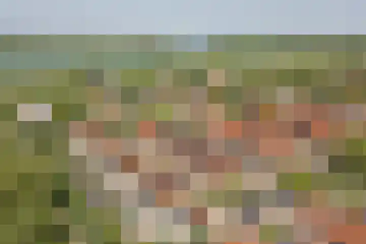 Buizerdstraat 8 Culemborg thumbnail 44