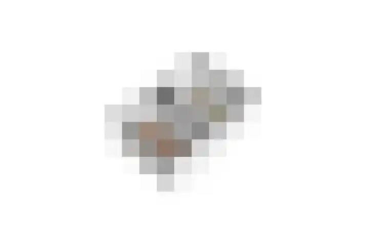 Buizerdstraat 8 Culemborg thumbnail 53