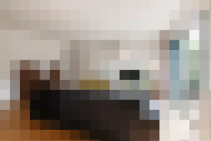 Buizerdstraat 8 Culemborg thumbnail 8