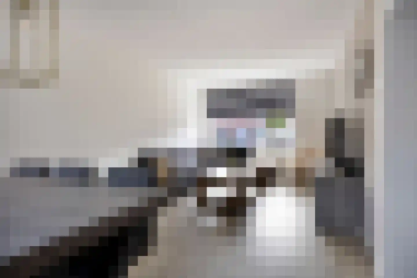 Buizerdstraat 8 Mill thumbnail 13