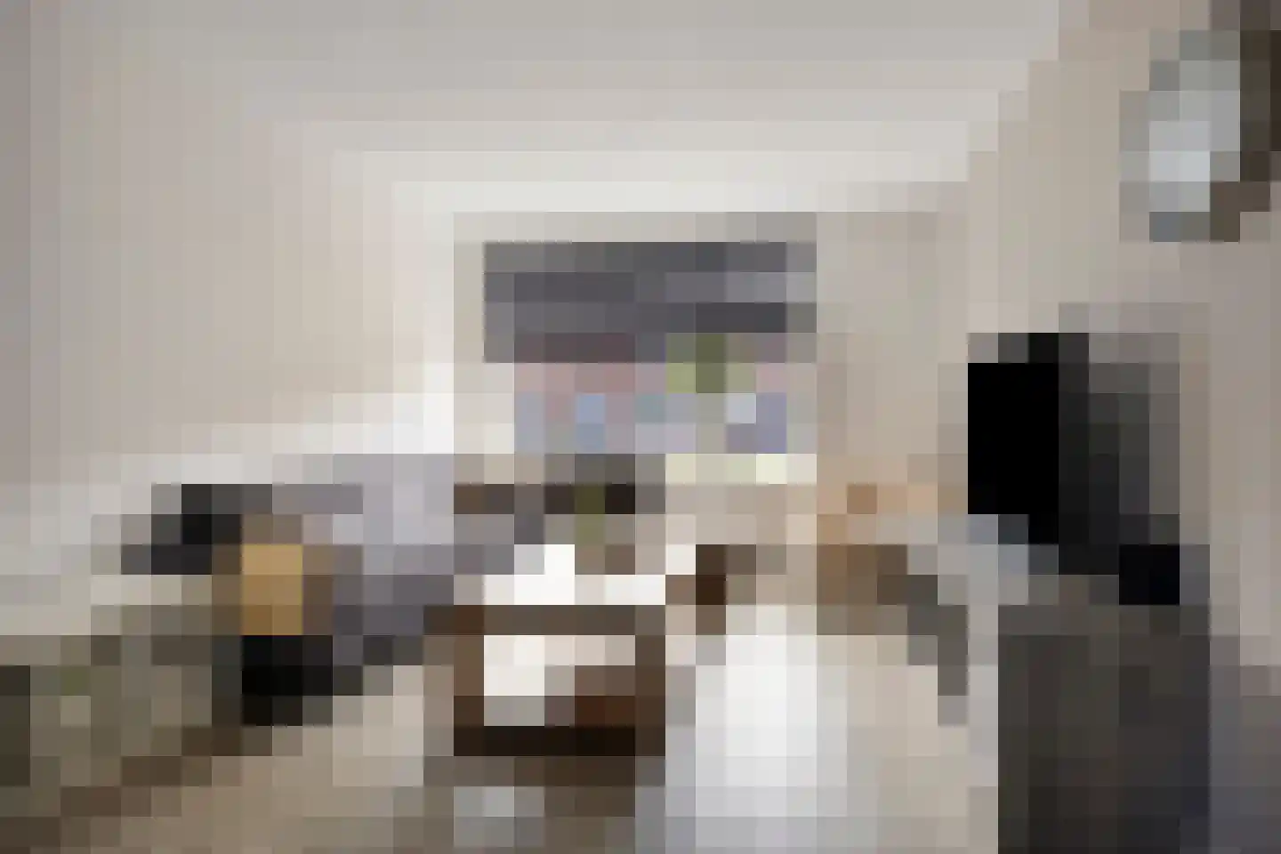 Buizerdstraat 8 Mill thumbnail 14