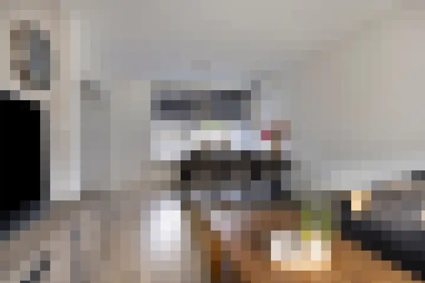 Buizerdstraat 8 Mill thumbnail 15