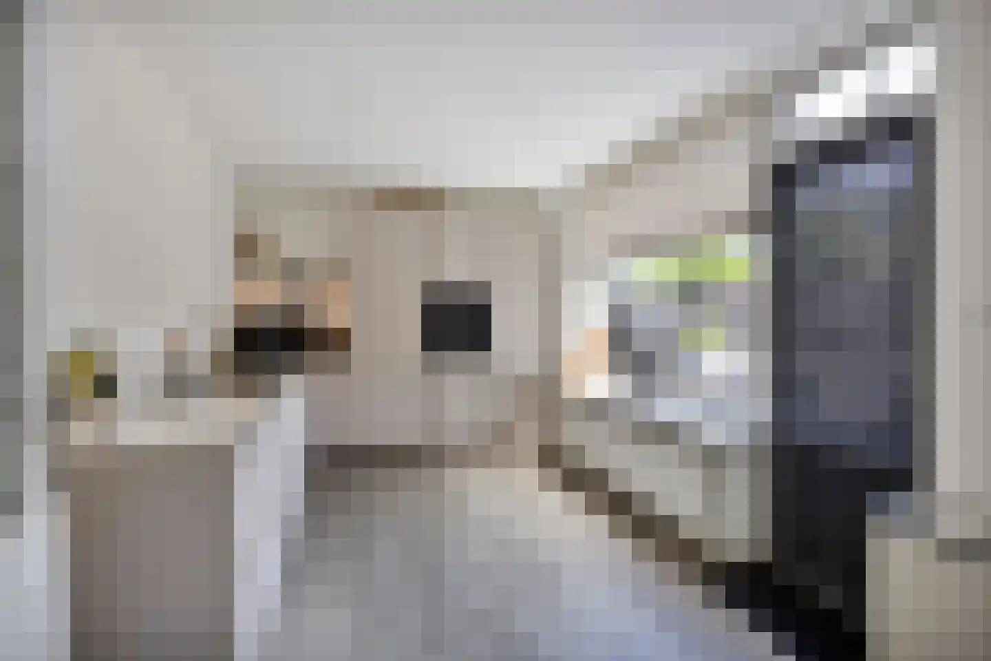 Buizerdstraat 8 Mill thumbnail 17