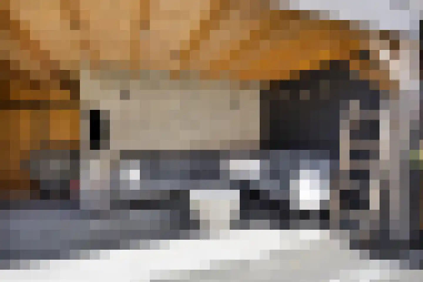 Buizerdstraat 8 Mill thumbnail 36