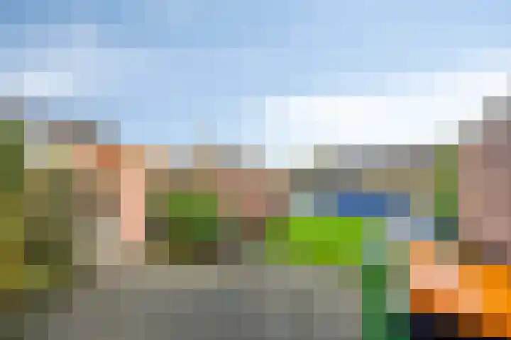 Buizerdstraat 80 Assen thumbnail 25