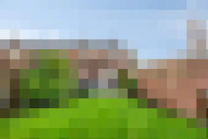 Buizerdstraat 80 Assen thumbnail 27