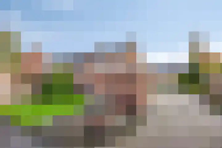 Buizerdstraat 80 Assen thumbnail 28