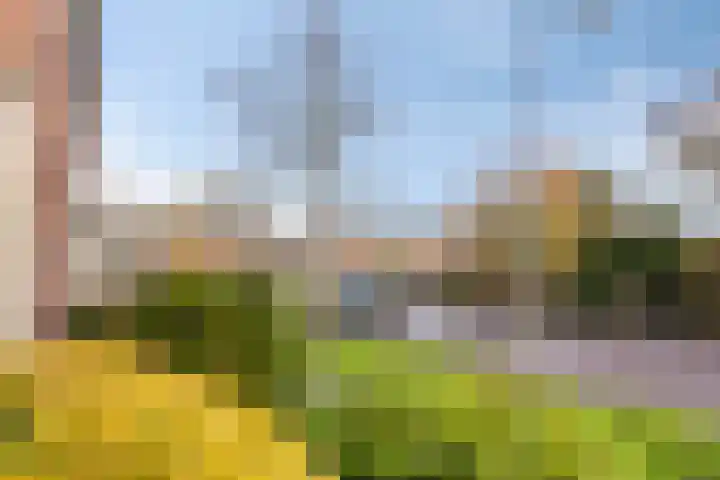 Buizerdstraat 80 Assen thumbnail 6