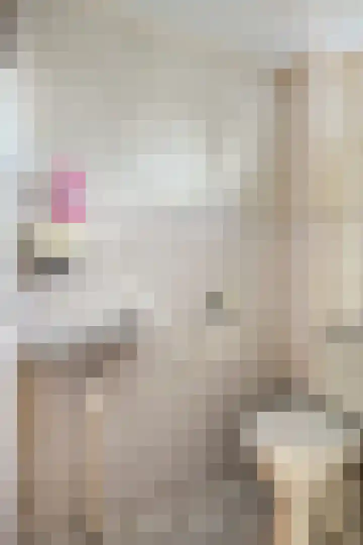 Buizerdstraat 80 Assen thumbnail 8