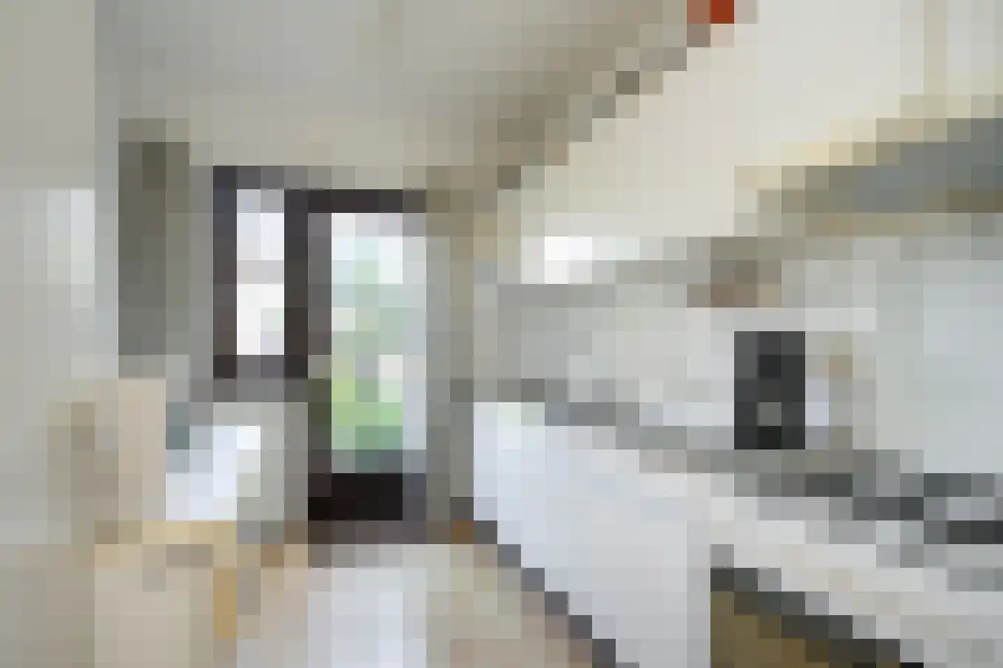Buizerdstraat 83 Brummen thumbnail 6