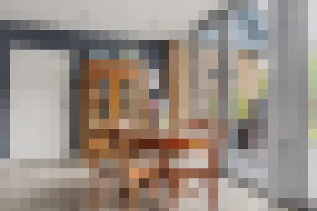 Buizerdstraat 9 Leerdam thumbnail 10