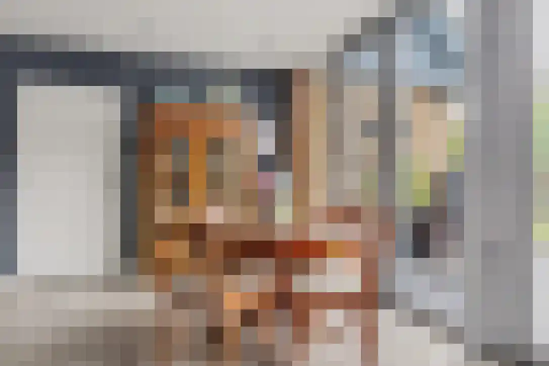 Buizerdstraat 9 Leerdam thumbnail 11