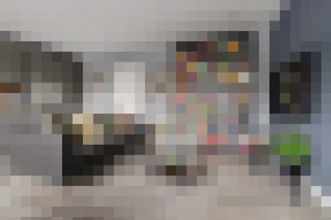 Buizerdstraat 9 Leerdam thumbnail 12