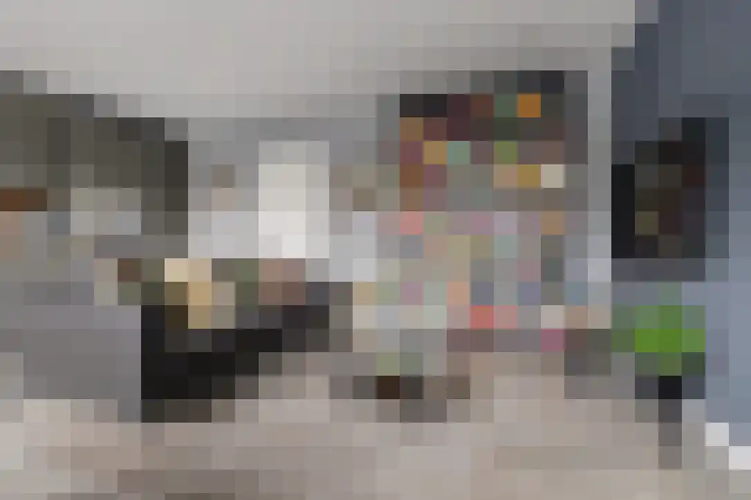 Buizerdstraat 9 Leerdam thumbnail 13