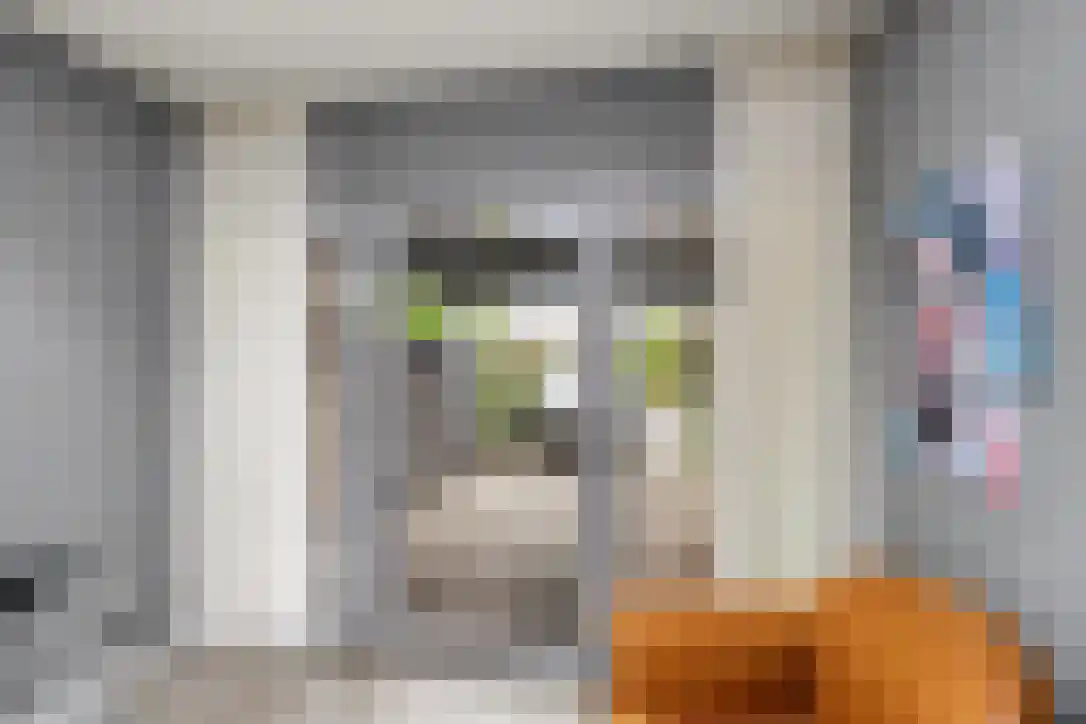 Buizerdstraat 9 Leerdam thumbnail 22