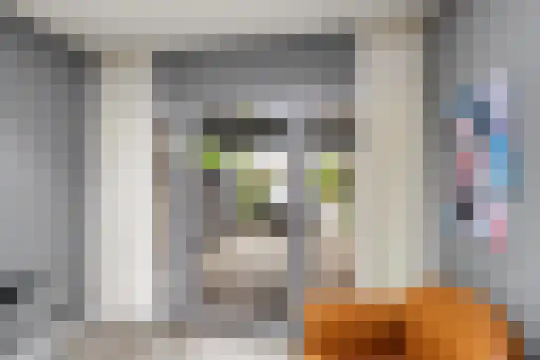 Buizerdstraat 9 Leerdam thumbnail 23