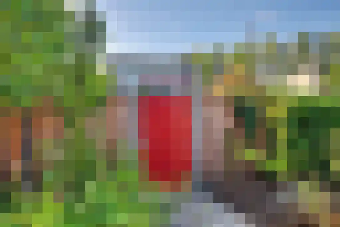 Buizerdstraat 9 Leerdam thumbnail 28