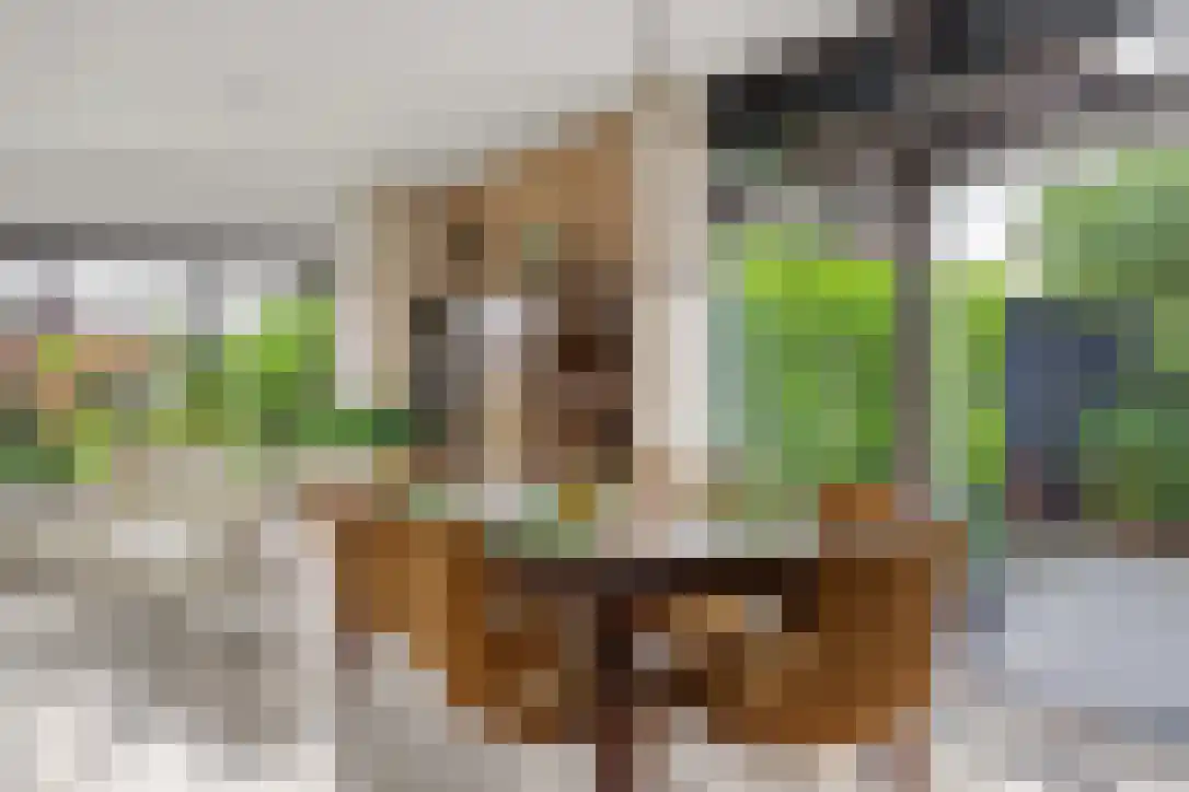 Buizerdstraat 9 Leerdam thumbnail 30