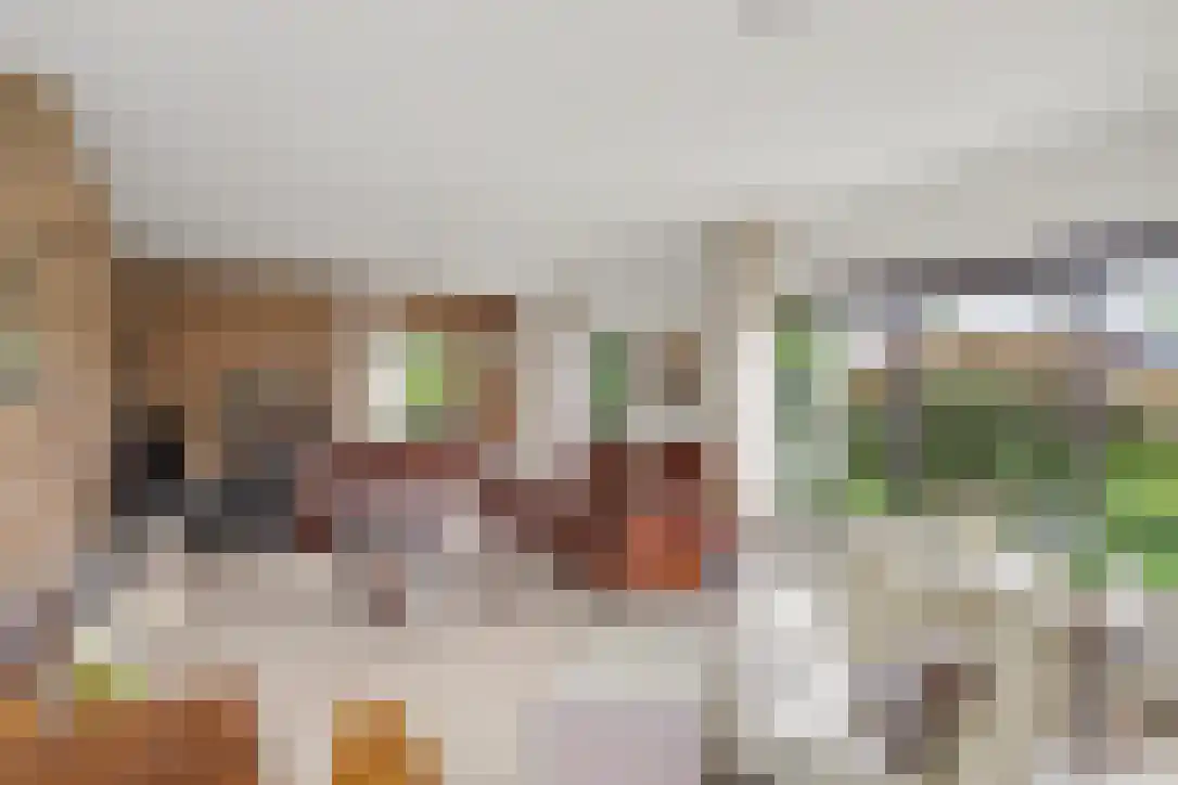 Buizerdstraat 9 Leerdam thumbnail 32