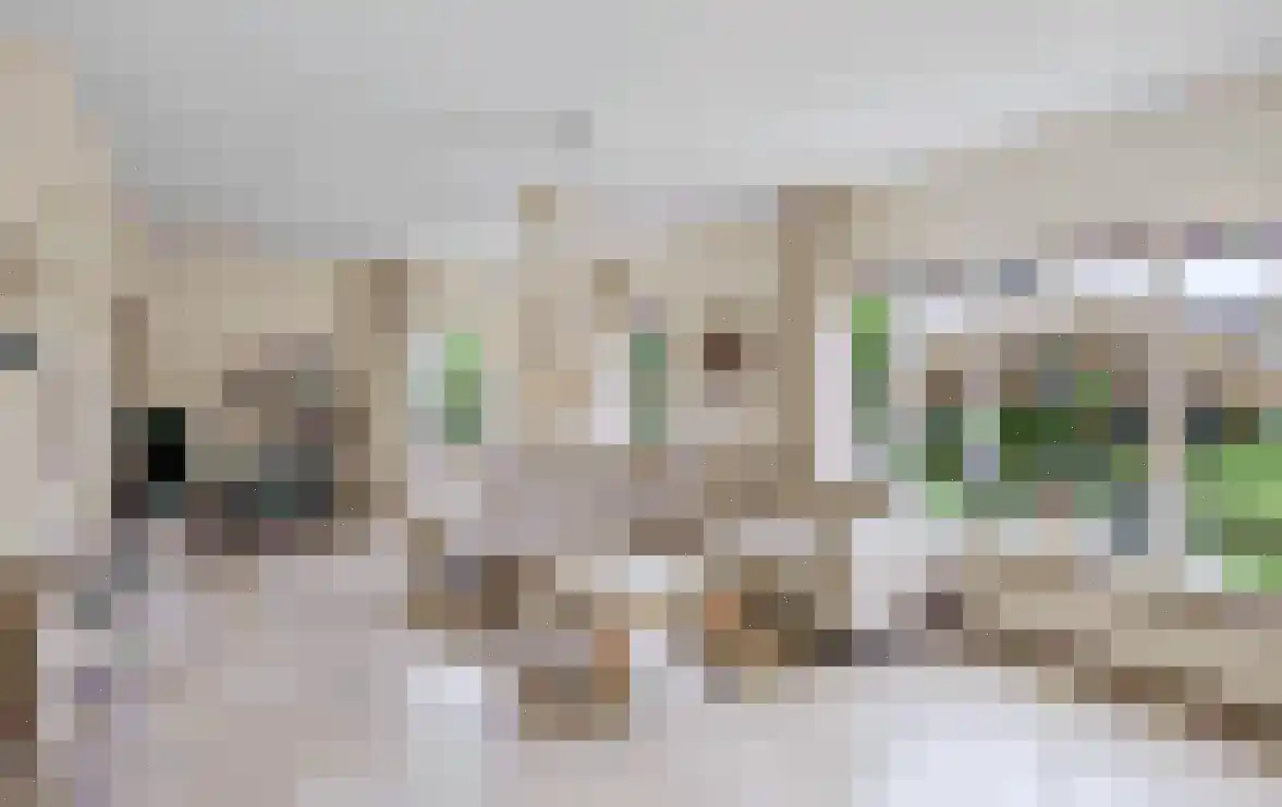 Buizerdstraat 9 Leerdam thumbnail 33