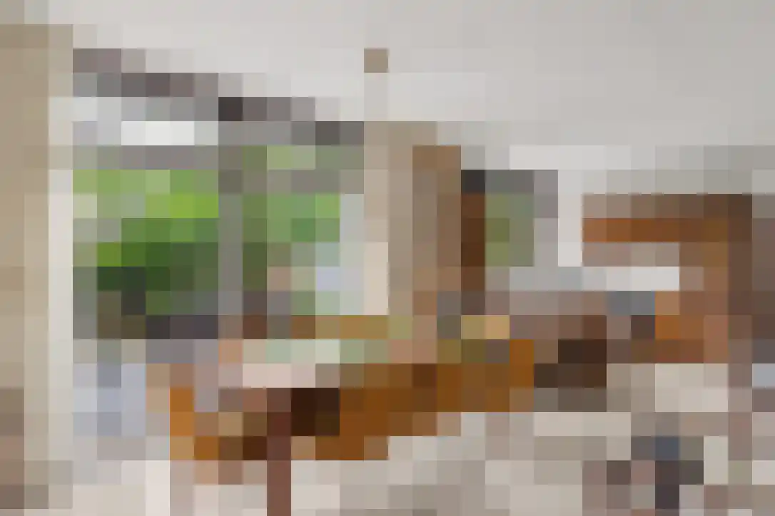 Buizerdstraat 9 Leerdam thumbnail 33