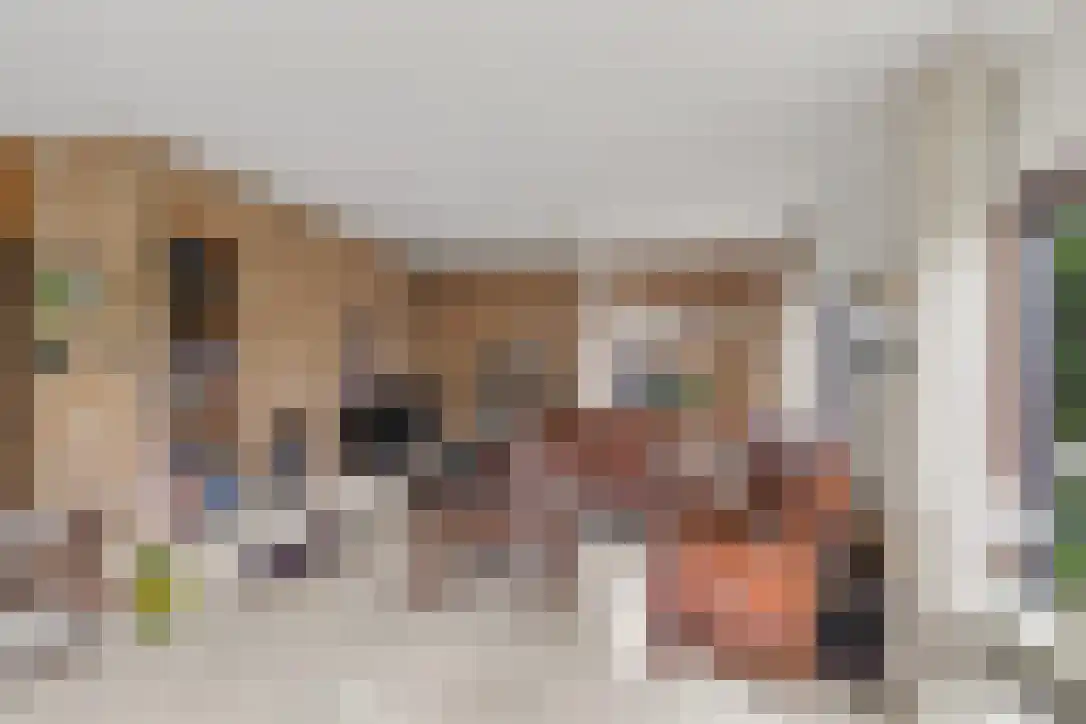 Buizerdstraat 9 Leerdam thumbnail 37