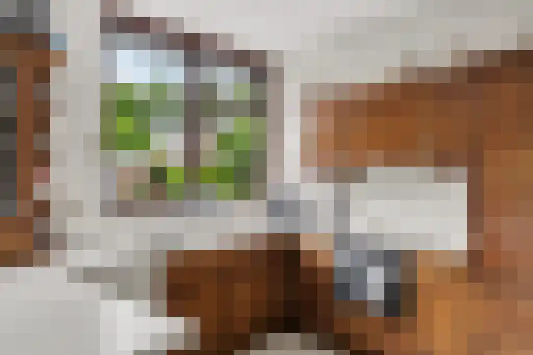 Buizerdstraat 9 Leerdam thumbnail 39