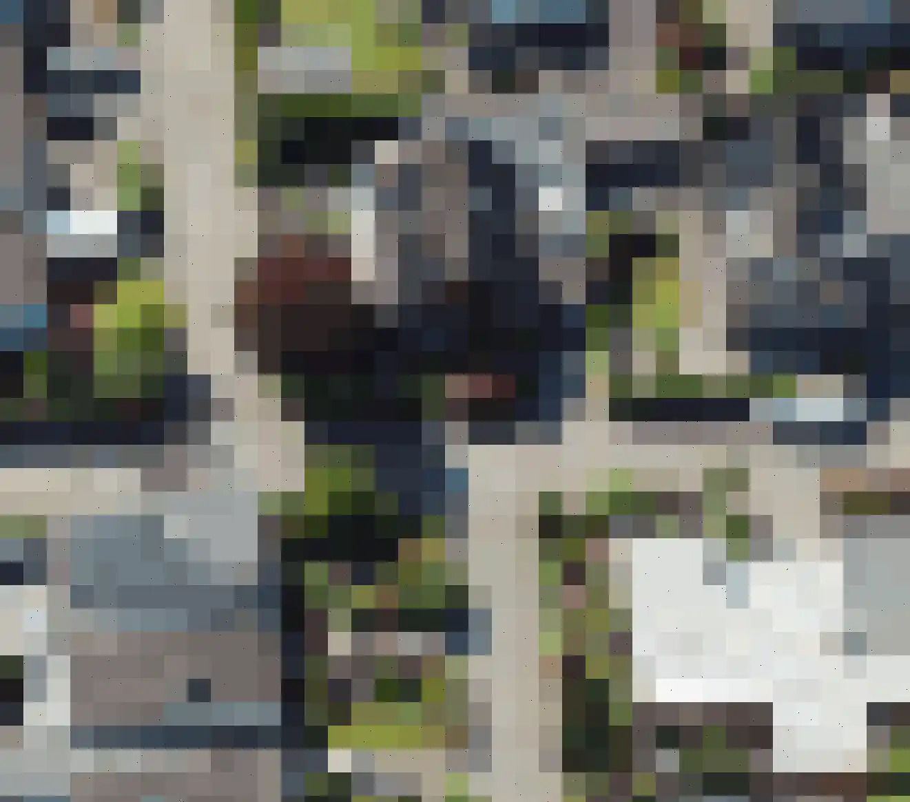 Buizerdstraat 9 Leerdam thumbnail 4