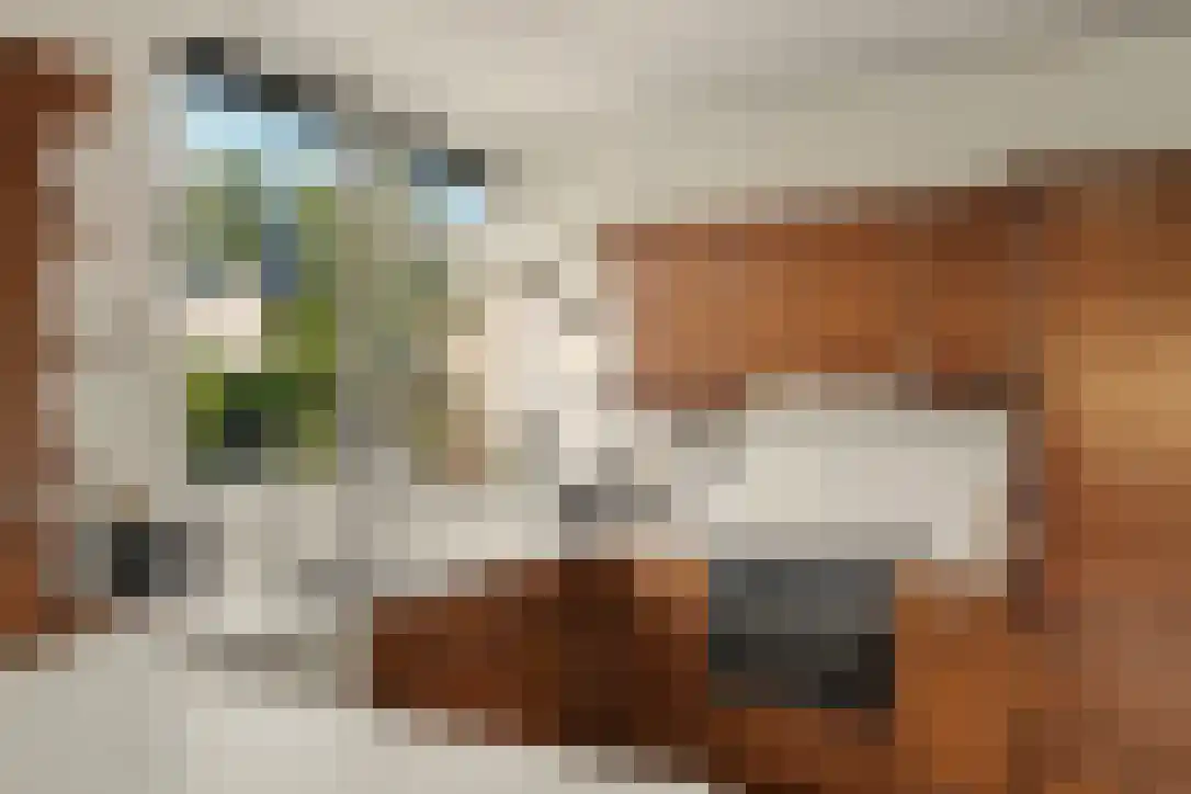 Buizerdstraat 9 Leerdam thumbnail 44