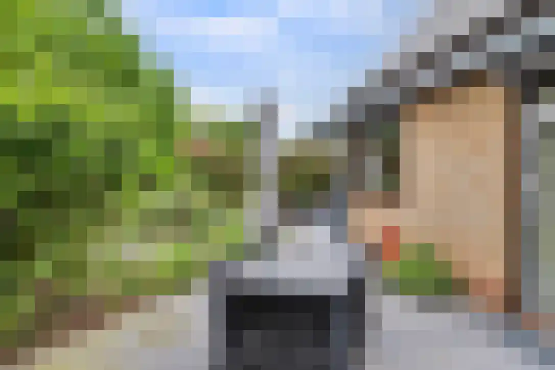 Buizerdstraat 9 Leerdam thumbnail 48