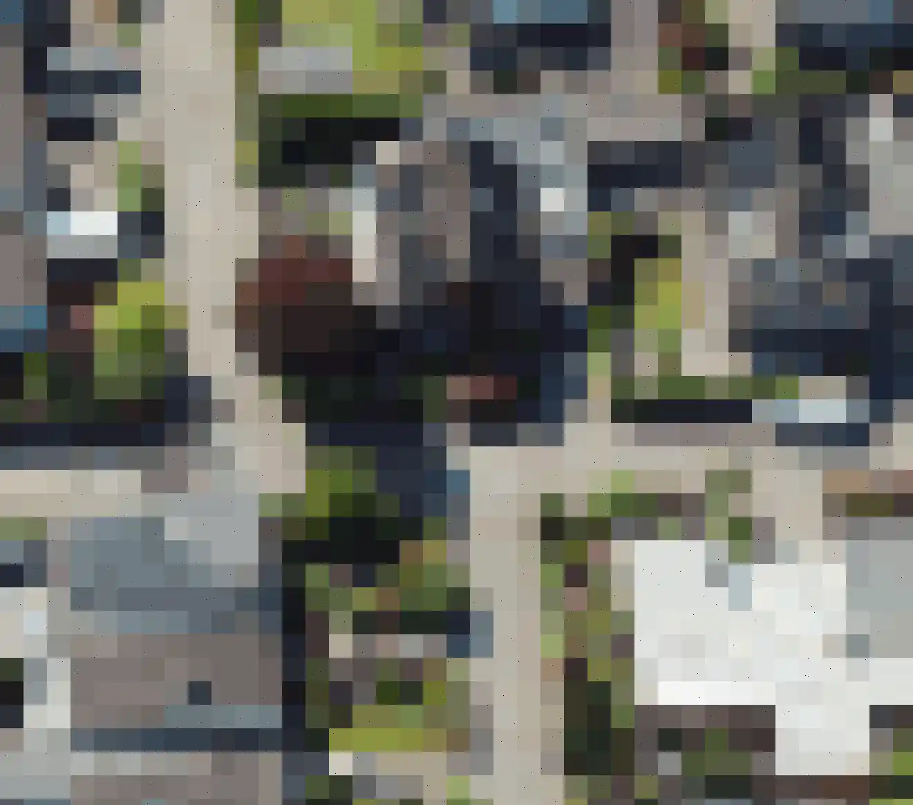 Buizerdstraat 9 Leerdam thumbnail 56