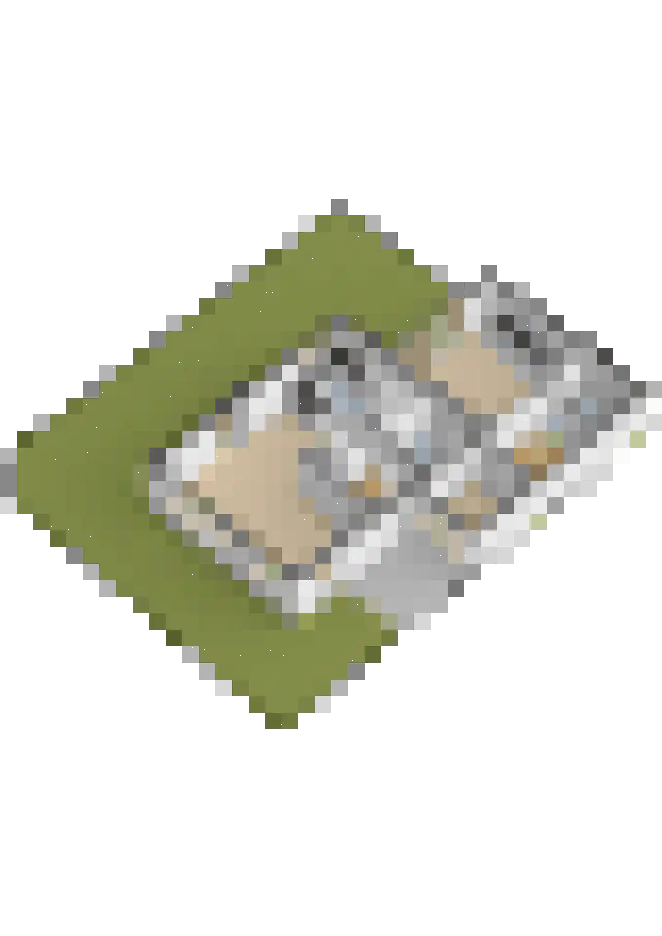 Buizerdstraat 9 Leerdam thumbnail 61