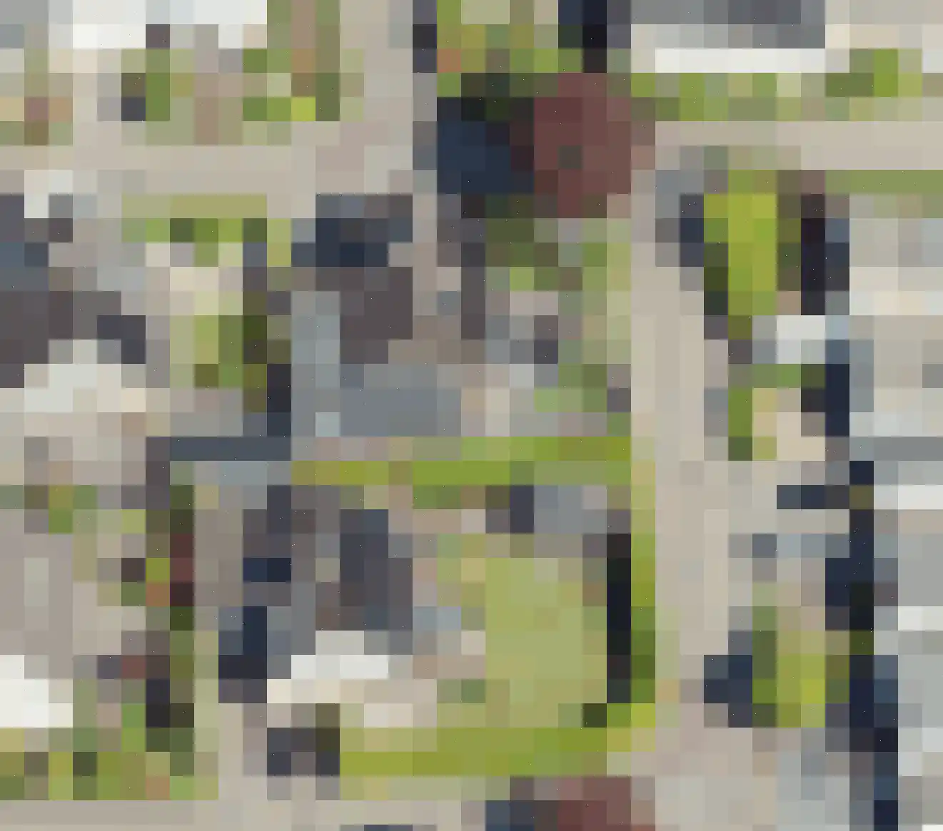 Buizerdstraat 9 Leerdam thumbnail 62