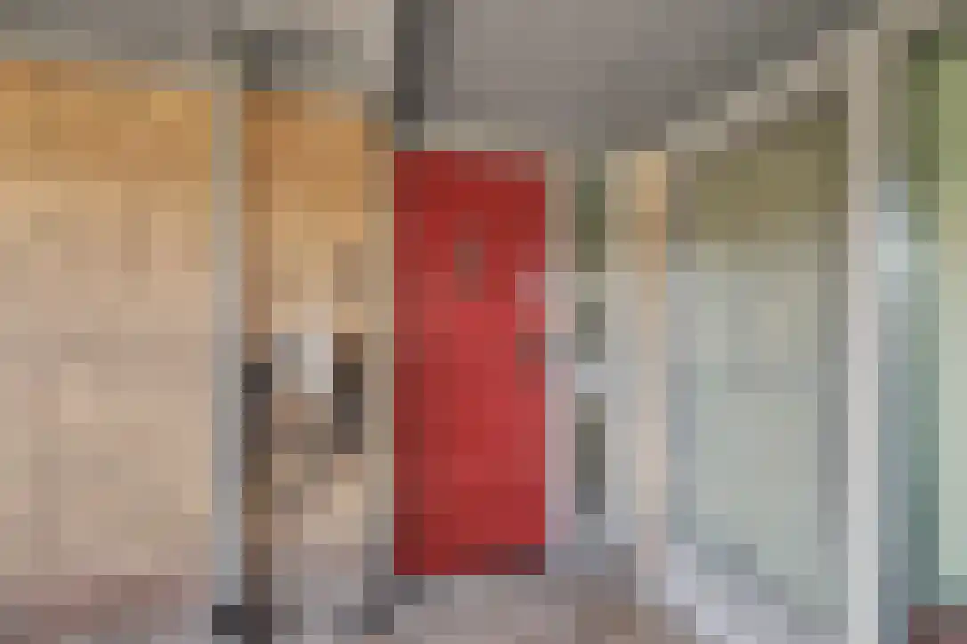 Buizerdstraat 9 Leerdam thumbnail 7