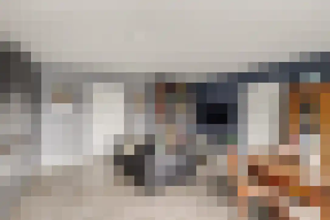 Buizerdstraat 9 Leerdam thumbnail 9