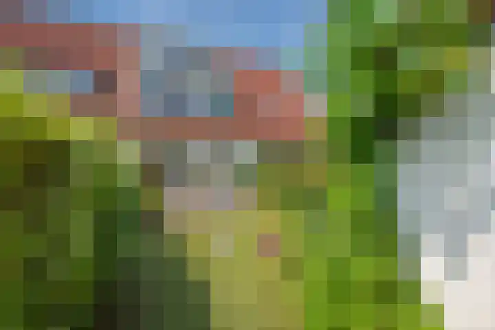 Buizerdveld 15 Zoetermeer