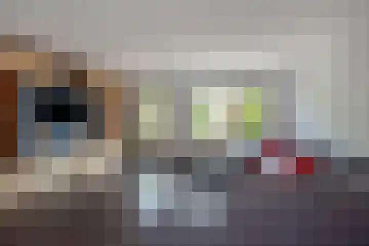 Buizerdveld 15 Zoetermeer thumbnail 11