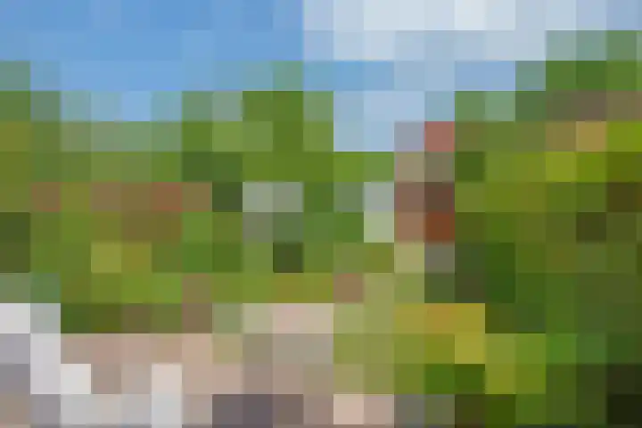Buizerdveld 15 Zoetermeer thumbnail 14