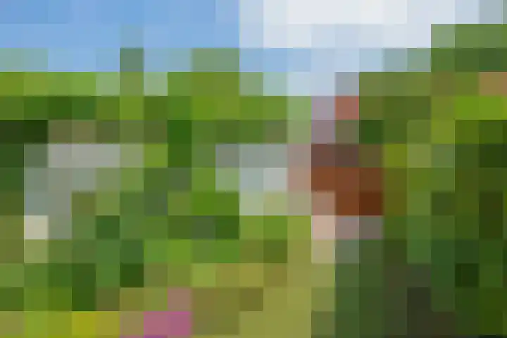 Buizerdveld 15 Zoetermeer thumbnail 15