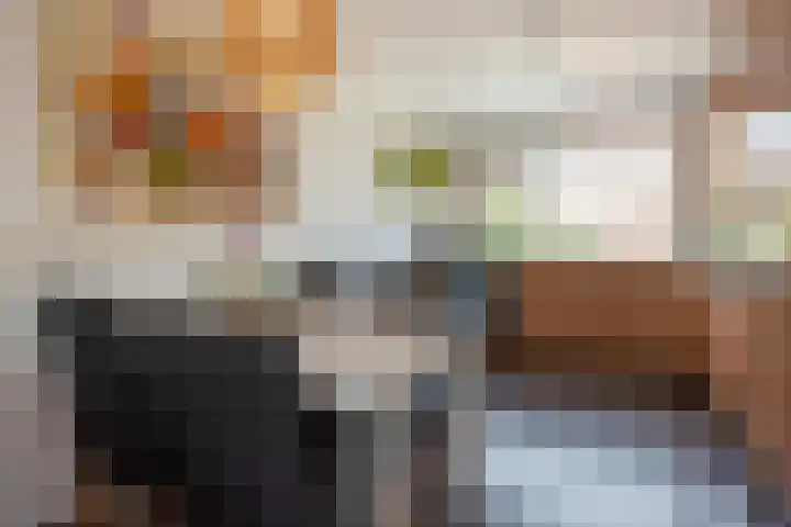 Buizerdveld 15 Zoetermeer thumbnail 19