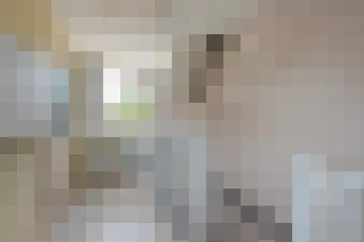 Buizerdveld 15 Zoetermeer thumbnail 34